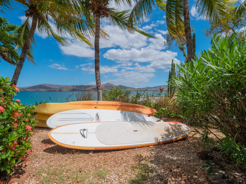 Paddleboards at the water's edge, Playa Flamingo